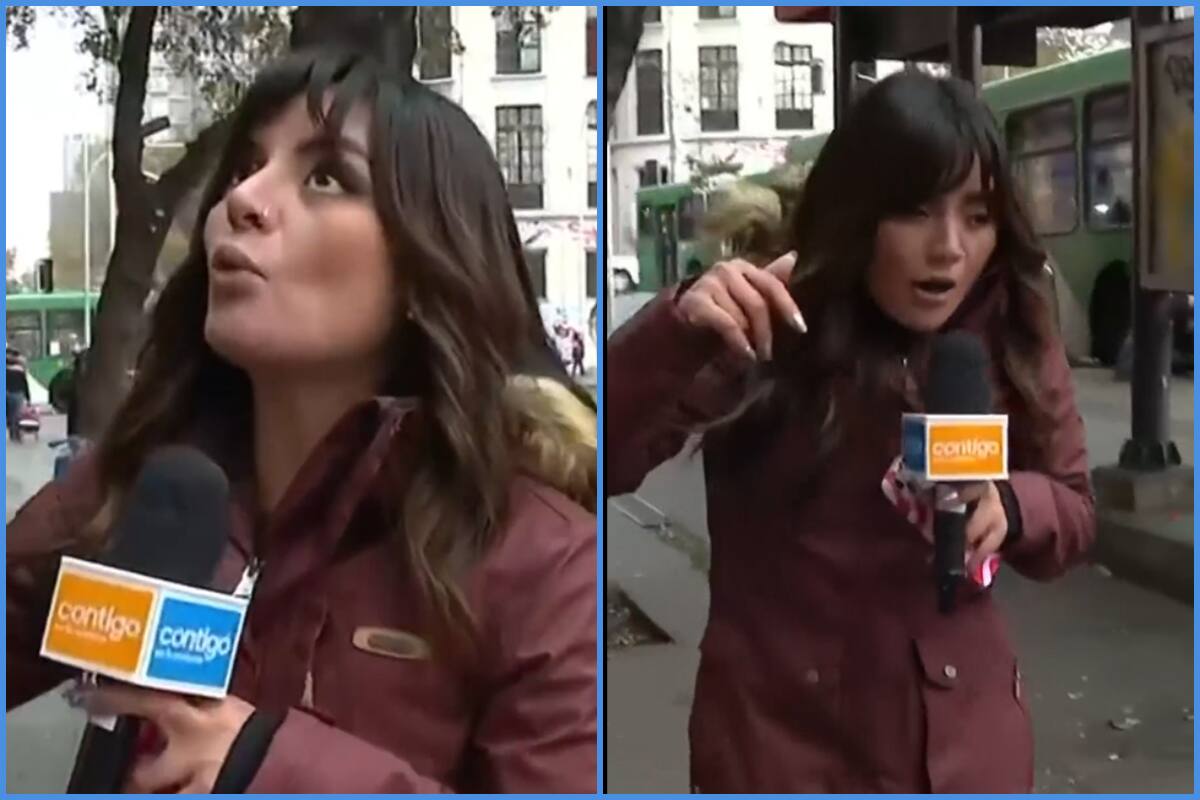 Periodista fue agredida en vivo en el matinal de CHV