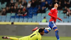 “Chile nos tiene de hijos”: La furiosa reacción de los hinchas peruanos tras caída ante La Roja en Rusia