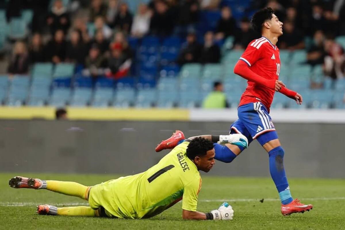 El delantero le marcó a Perú en Rusia. Foto: @laroja
