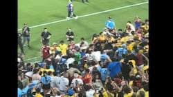 VIDEO | Escándalo en Copa América: Darwin Núñez protagonizó pelea a golpes con hinchas colombianos