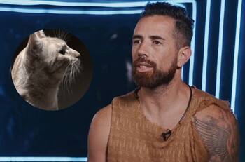 ¡No tuvieron piedad! Las feroces críticas contra Daúd Gazale por su trato hacia el gato de Mundos Opuestos