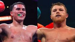 Canelo Álvarez rompe el silencio y explica por qué no acepta una pelea con David Benavidez