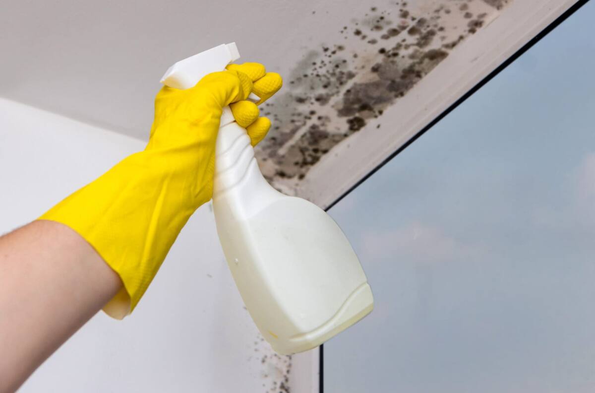 Así puedes quitar los hongos del techo del baño, paso a paso