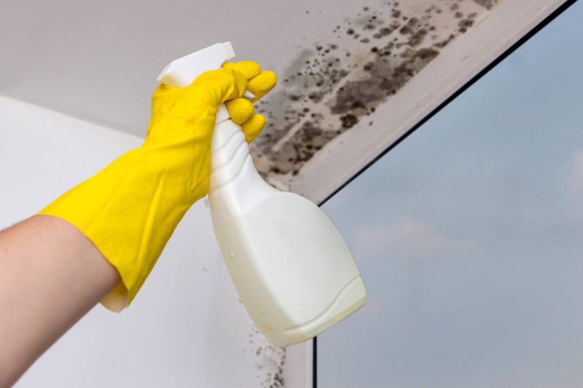 puedes eliminar los hongos del baño.