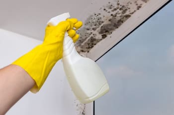 Así puedes quitar los hongos del techo del baño, paso a paso