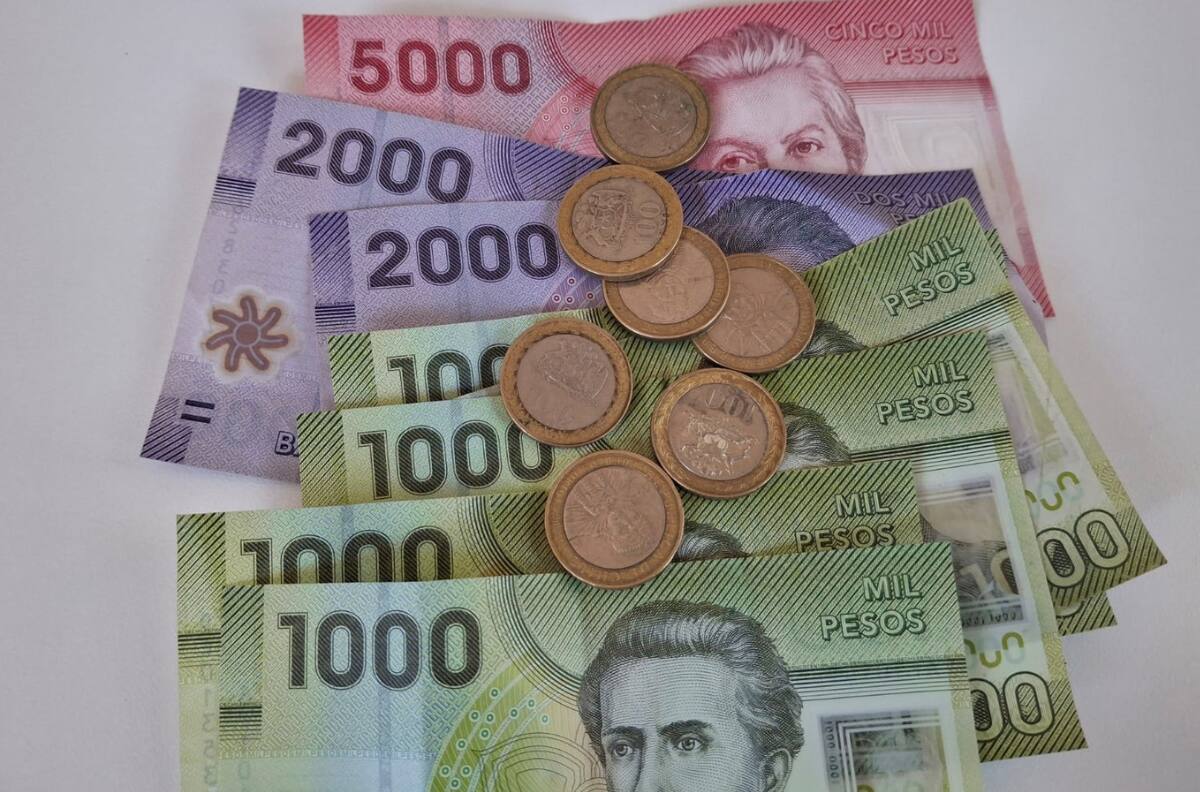 SII confirma la fecha para los primeros pagos de la devolución de impuestos