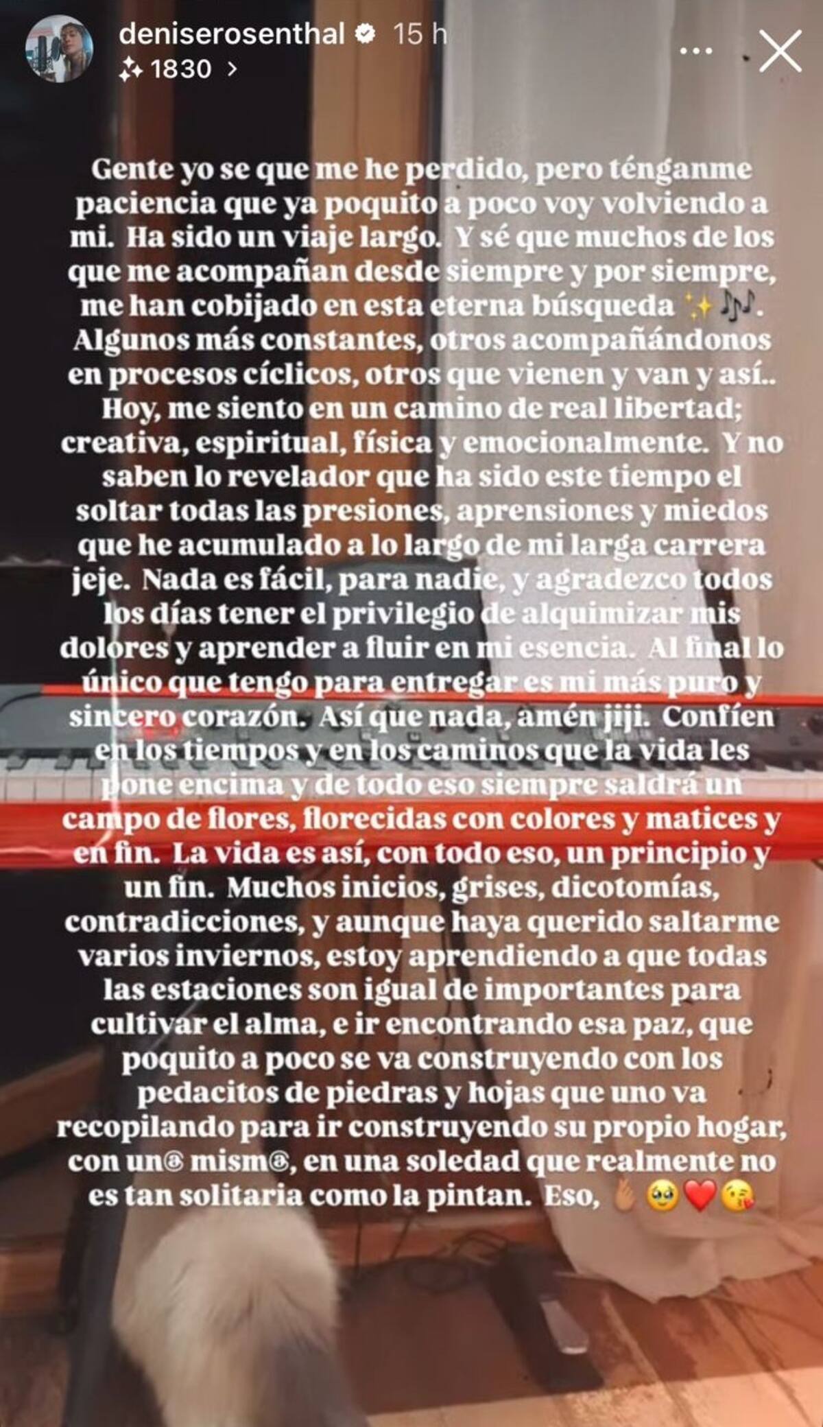 La cantante nacional compartió su sentir a través de sus historias de Instagram.