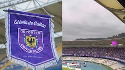 VIDEO | ¡Teñido de morado! El gran ambiente del Ester Roa en la previa del Deportes Concepción vs. Copiapó