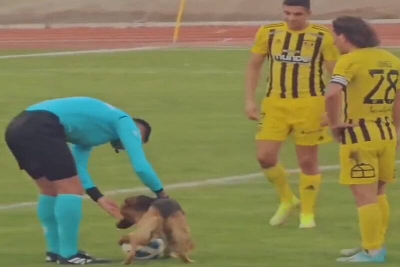Un perro irrumpió en el encuentro entre Fernández Vial vs Iberia.