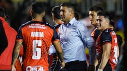 Llegan con sed de revancha: la gran jugada que podría hacer Deportes Limache en el fútbol chileno