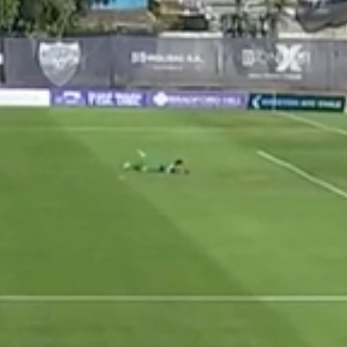 VIDEO | No lo pueden creer: el insólito autogol de este sábado en Primera B