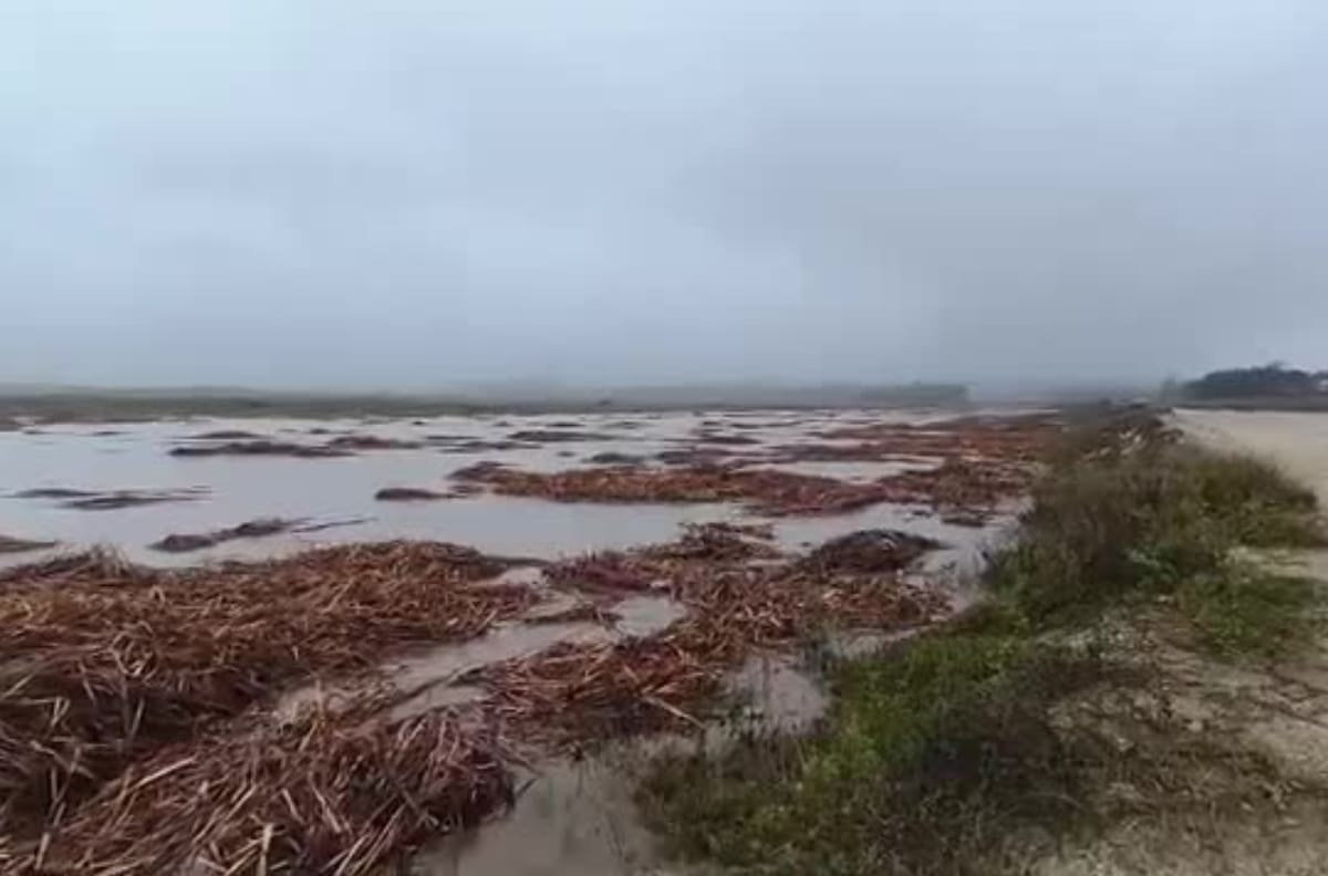VIDEO | Evacuación inmediata en Tongoy: Senapred ordena abandonar el centro por desborde de estero