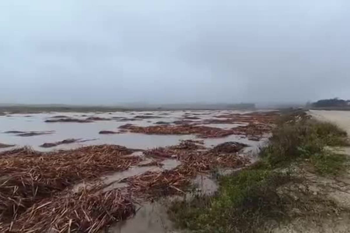 Desde Senapred piden evacuar la zona. Foto: Red Geocientífica de Chile.