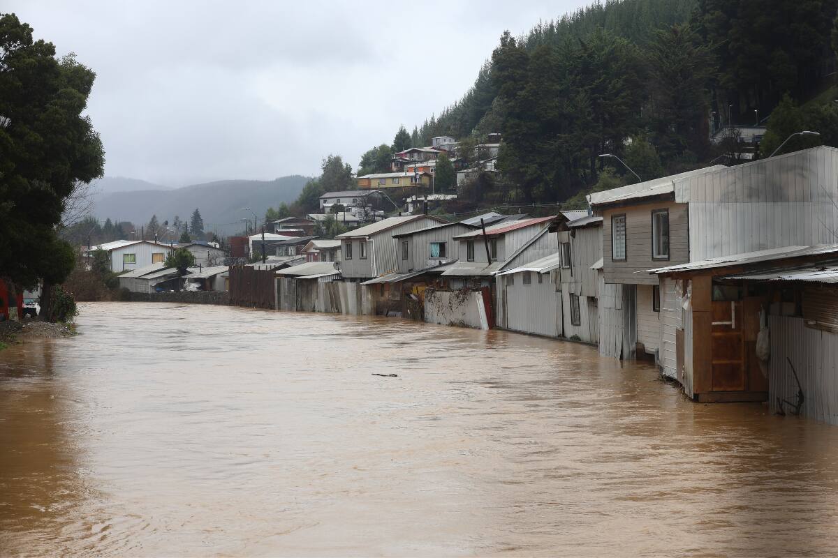 Conoce qué dicen los organismos encargados.