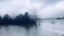 VIDEO: Reportan desborde de río en la Región de Aysén en medio de intenso sistema frontal