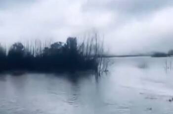 VIDEO: Reportan desborde de río en la Región de Aysén en medio de intenso sistema frontal