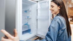 Falabella lanza nuevas ofertas en refrigeradores: estos productos tienen hasta 62% de descuento