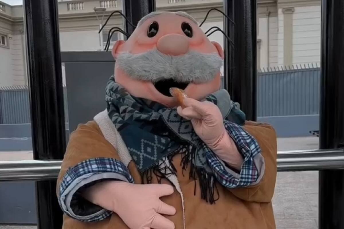 Dr. Simi se prepara también ya para el invierno.