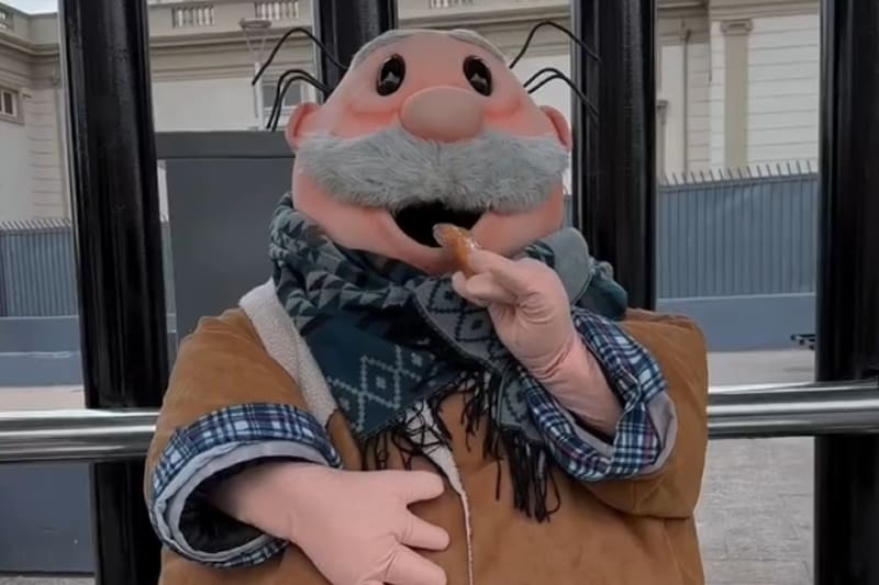 Dr. Simi se prepara también ya para el invierno.