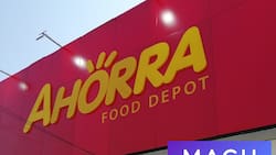 Consigue un 30% de cashback pagando con MACH en este supermercado