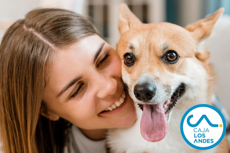 Conoce cómo comprar cosas para tu mascota a un precio rebajado.