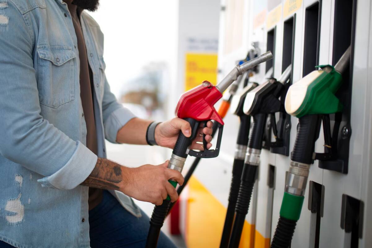 Estas promociones estarán disponibles hasta el 31 de enero de 2026.