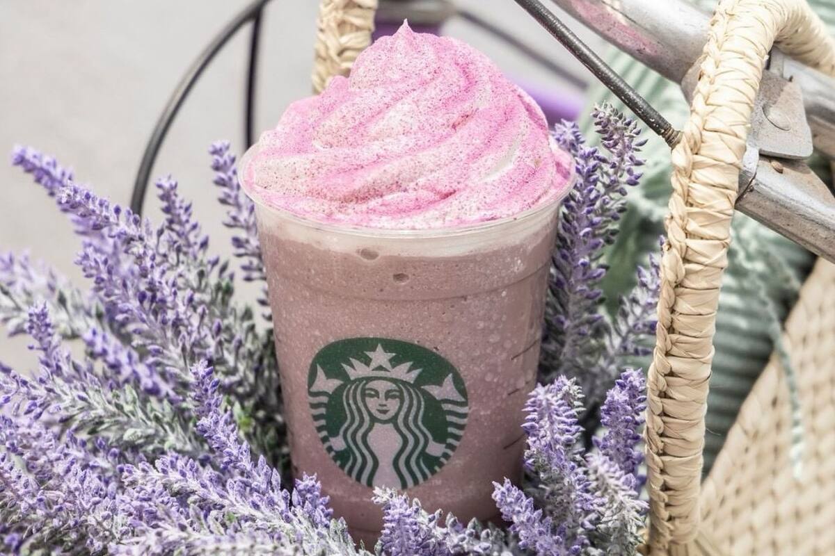 Si te gusta el café, aprovecha esta increíble descuento en Starbucks.