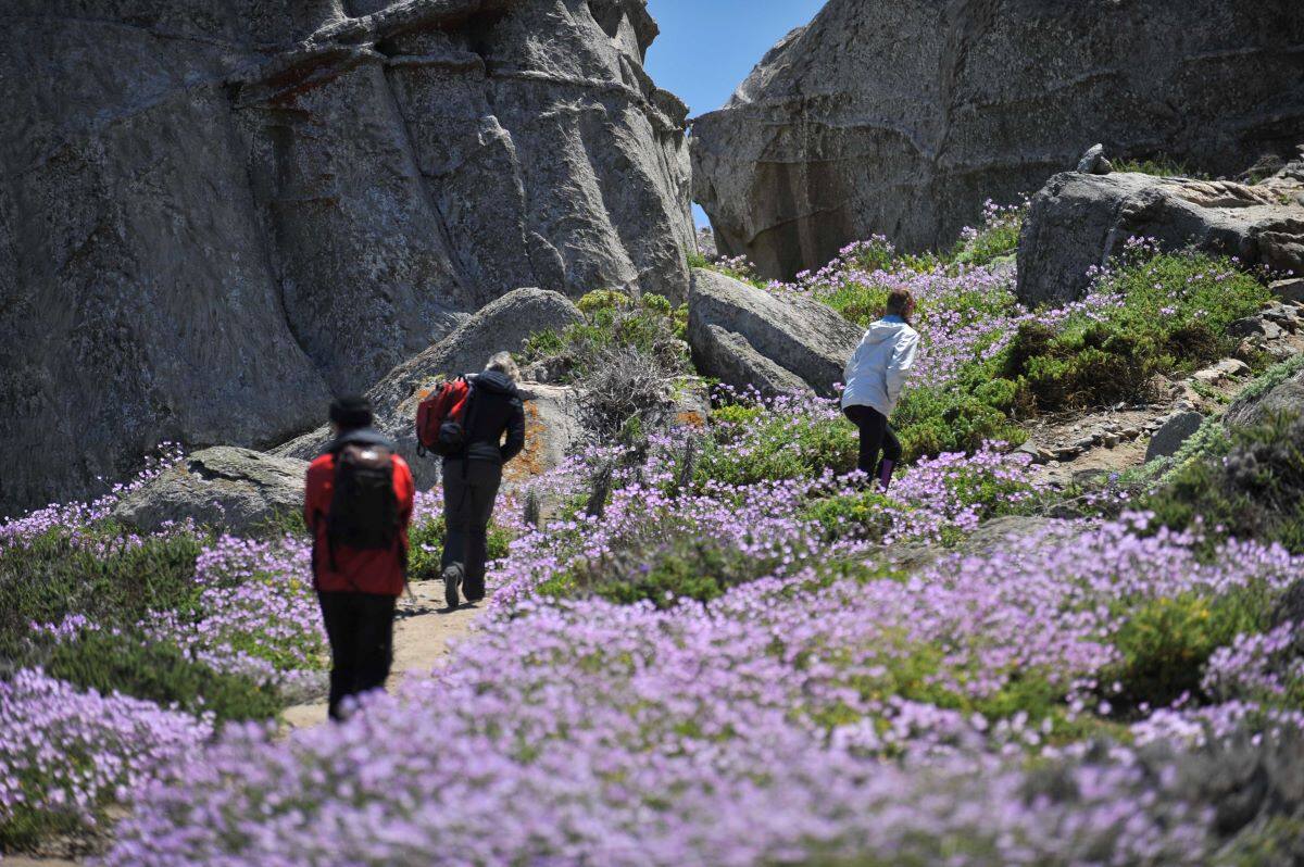 Además, se destaca la creación del Parque Nacional Desierto Florido, un paisaje de miles de hectáreas protegidas cerca de la ciudad de Copiapó.