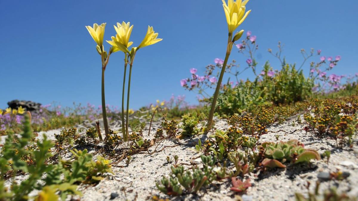 El lugar de Chile que está entre los 30 destinos más destacados según la National Geographic