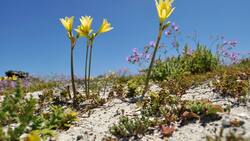El lugar de Chile que está entre los 30 destinos más destacados según la National Geographic