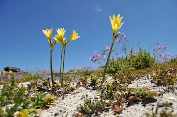 El lugar de Chile que está entre los 30 destinos más destacados según la National Geographic