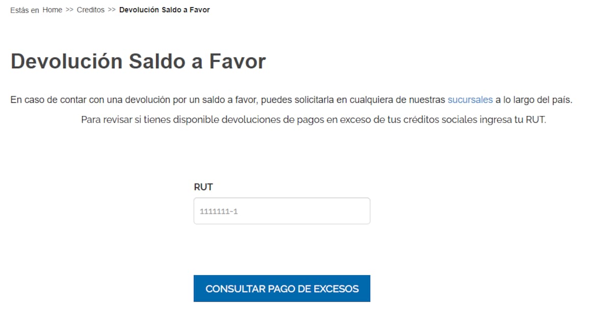 Así es la sección de consultas de Devolución de saldos a favor con Caja 18.