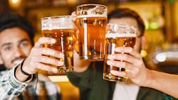 Día de la cerveza en Chile: Esta distribuidora tiene hasta 50% de descuento en decenas de productos