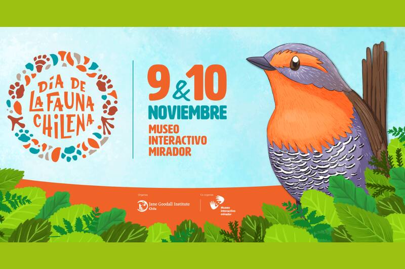 Conoce todo sobre este panorama educativo.
