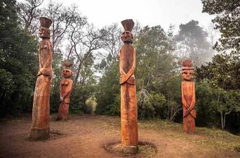 Día de los Patrimonios: CONAF abrirá gratuitamente 18 áreas protegidas durante este fin de semana