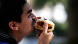 Día del Completo 2023: ¿Qué ingredientes lleva un completo vegano y cómo prepararlo?