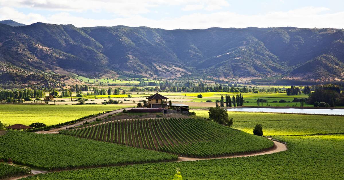 Estas son algunas de las viñas que puedes visitar.