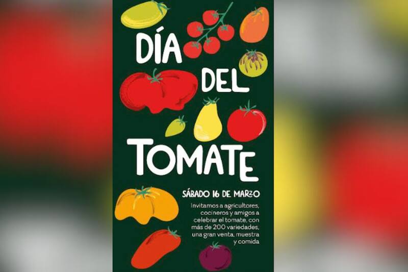 Conoce las actividades que podrás hacer.
