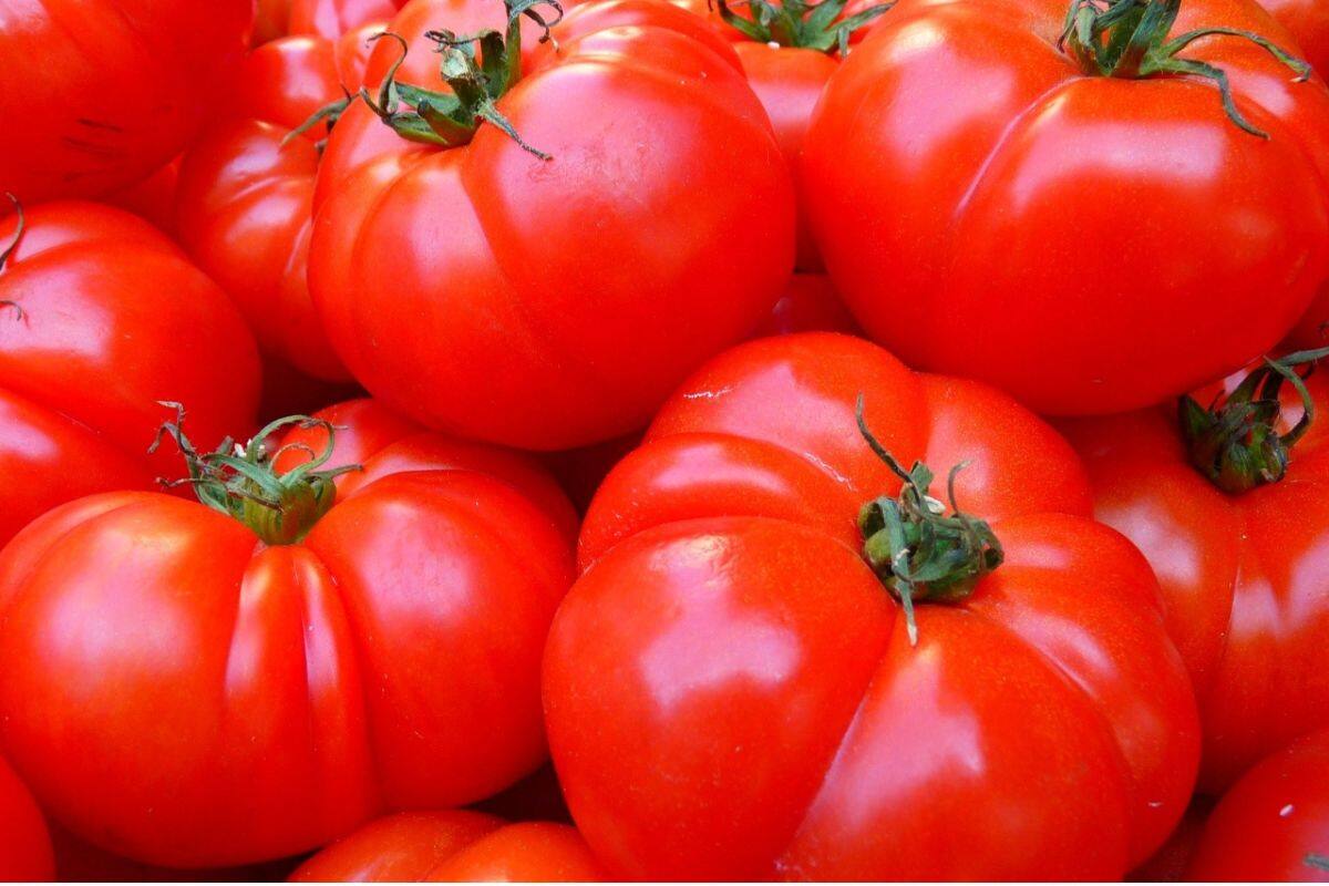 Conoce las degustaciones que puedes disfrutar en el evento.