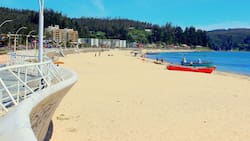 ¿Cuánto cuesta viajar a Dichato?: Precio de los pasajes, hospedajes y panoramas para pasar el verano en la Región del Biobío