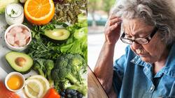 Esta es la dieta que debes seguir según Harvard para prevenir la demencia