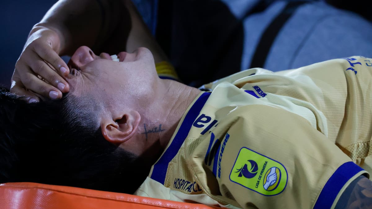 Duró solo seis meses en Viña: Everton rescindió el contrato de su refuerzo más polémico