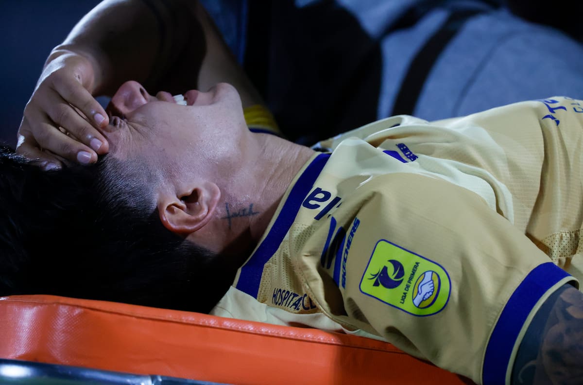 Duró solo seis meses en Viña: Everton rescindió el contrato de su refuerzo más polémico