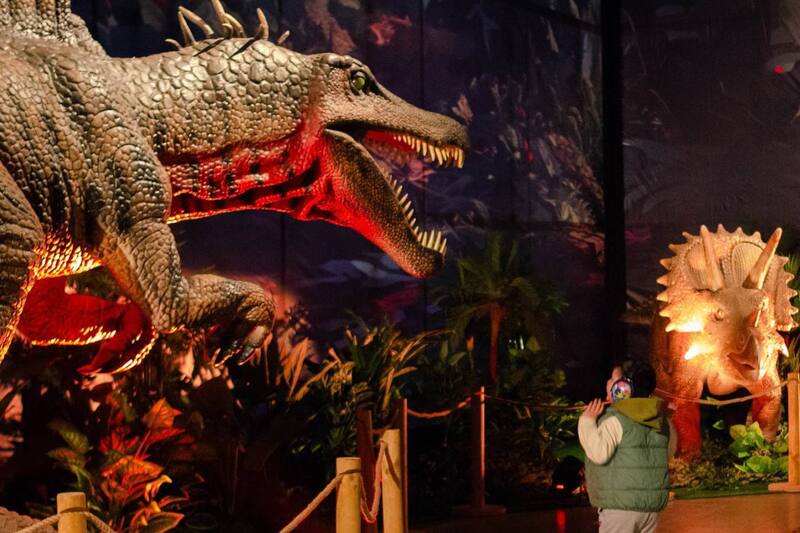 Conoce cómo obtener la oferta.