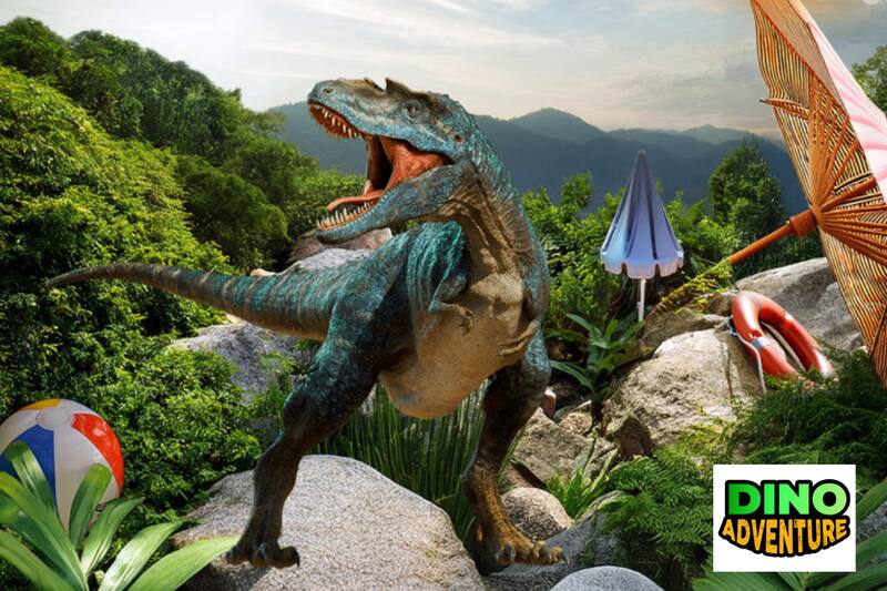 Descubre todos los detalles de esta promoción.