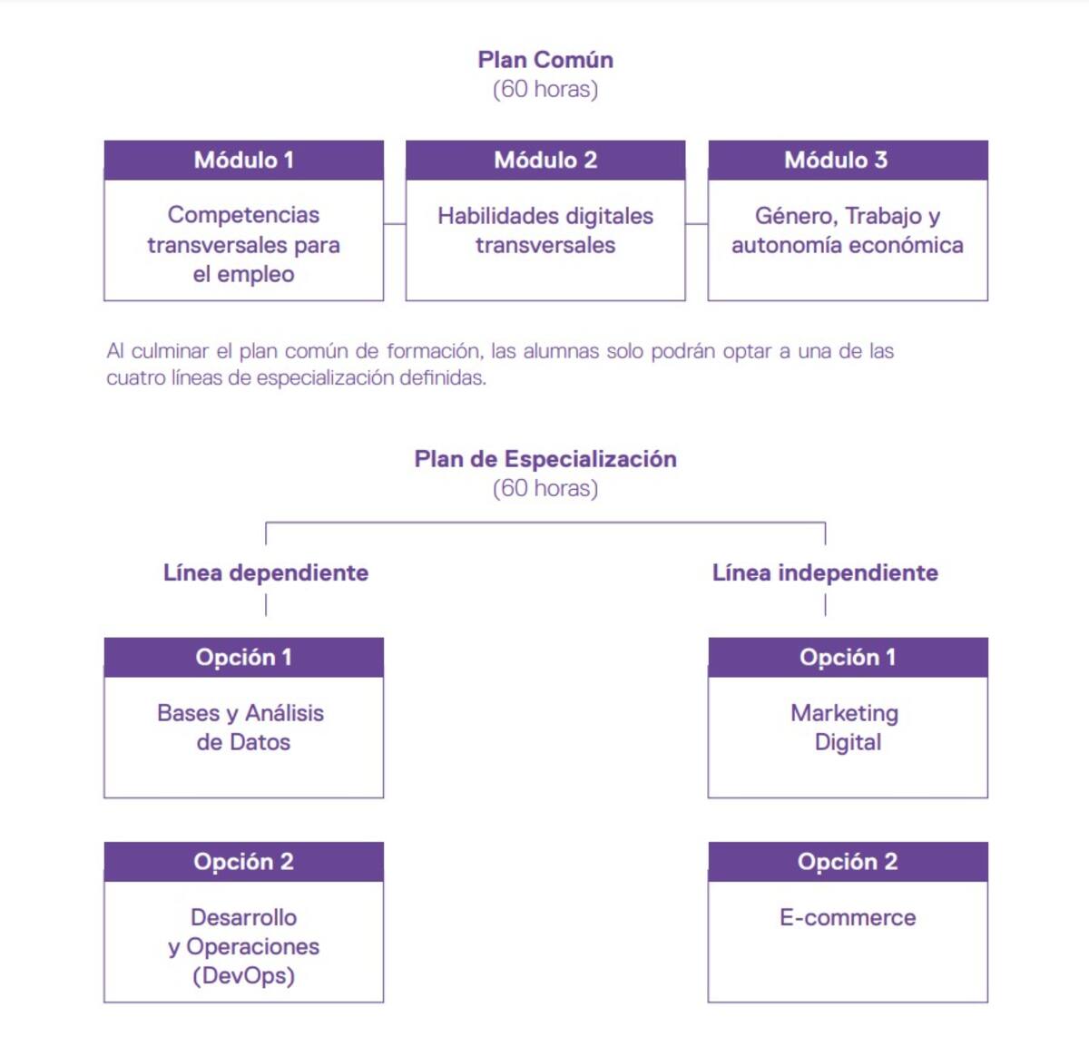 Esta es la malla del diplomado gratis para mujeres.