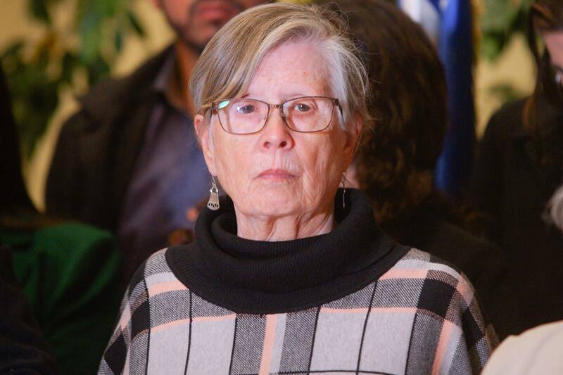 Diputada Mercedes Bulnes.