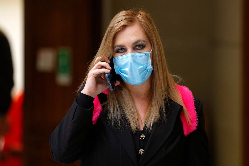 Diputada Pamela Jiles / ATON