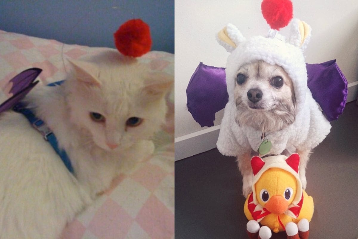 Con solo un pompón rojo y alas tu mascota ya estará lista para vender y comprar tus objetos.