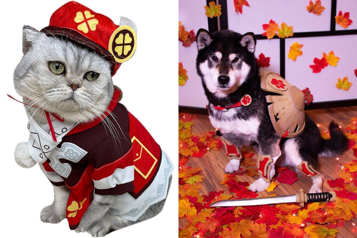 Siempre puedes disfrazar a tu mascota de un personaje de tu gacha favorito.